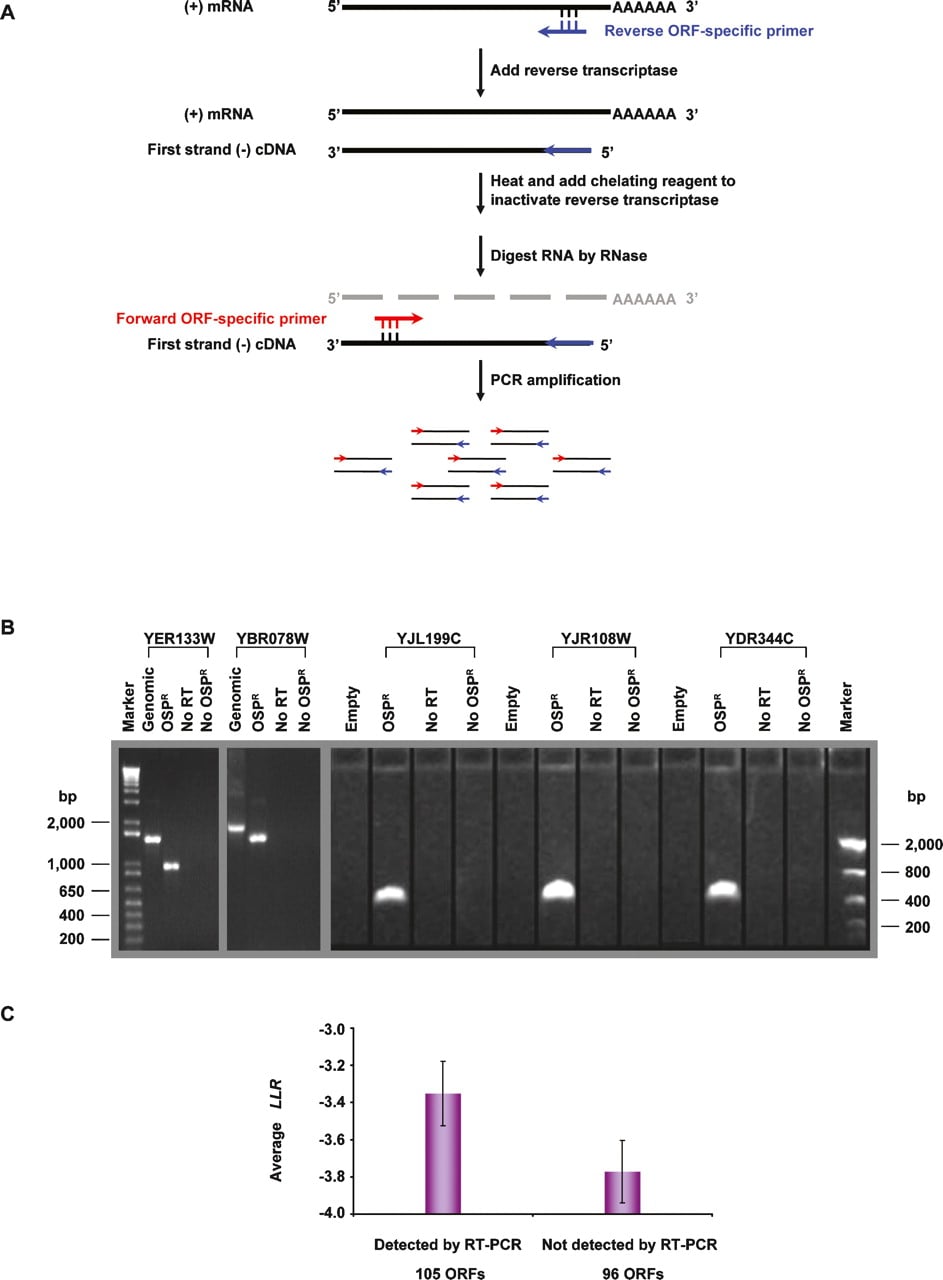 1294fig3
