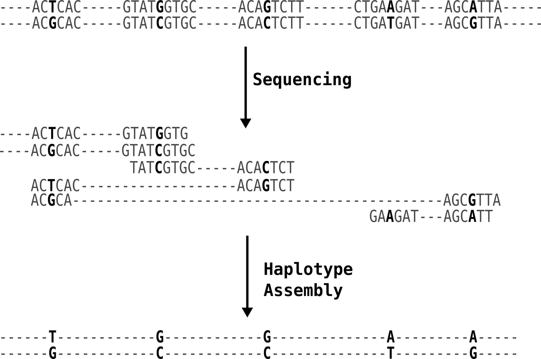 1336fig1