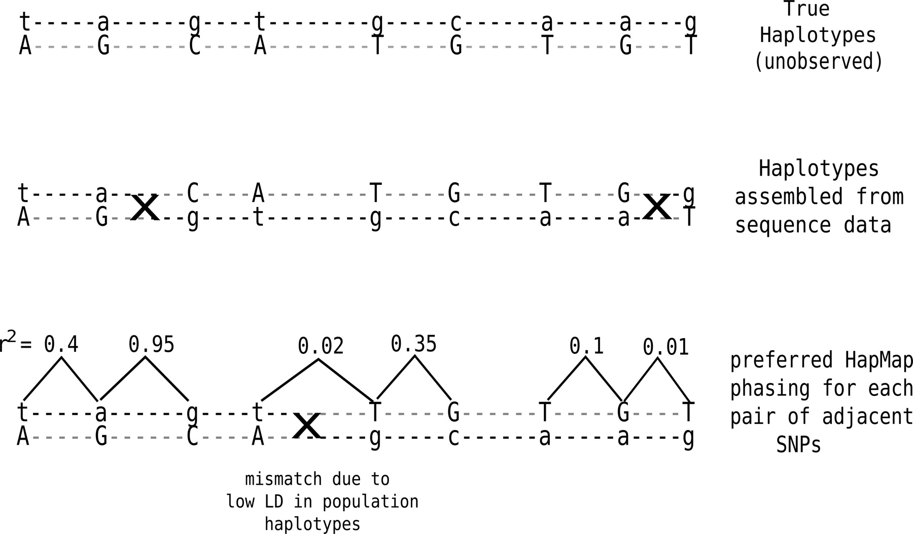 1336fig9
