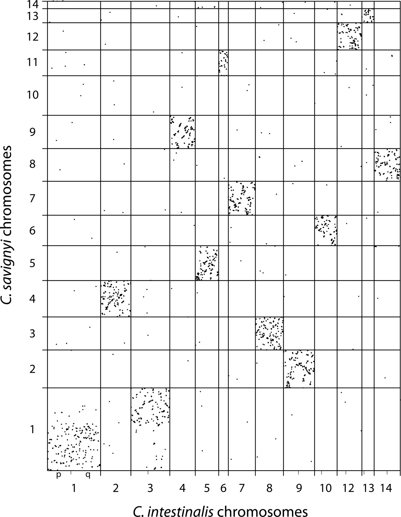 1369fig3