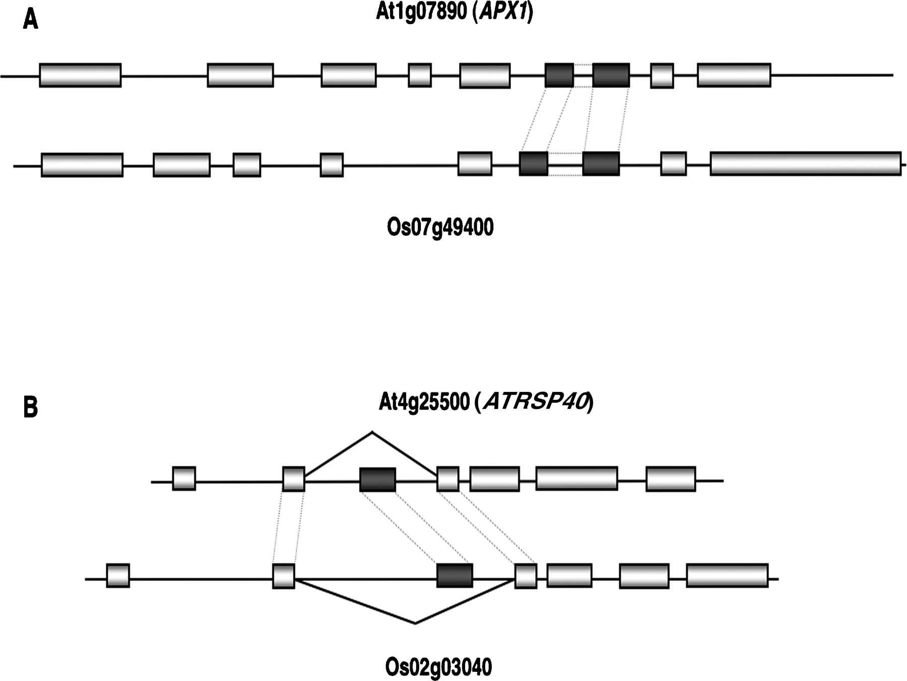 1381fig2