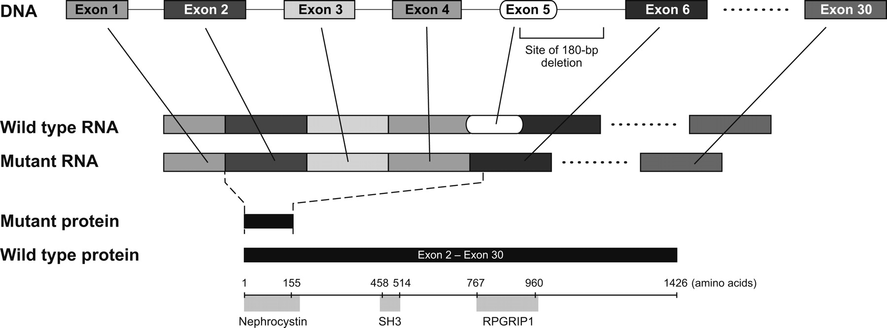 1415fig4
