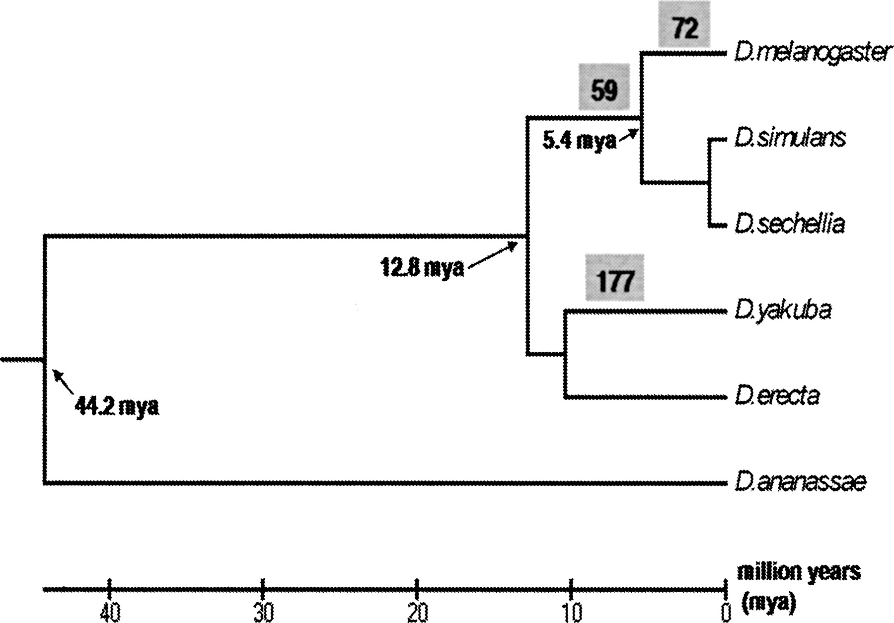 1446fig1