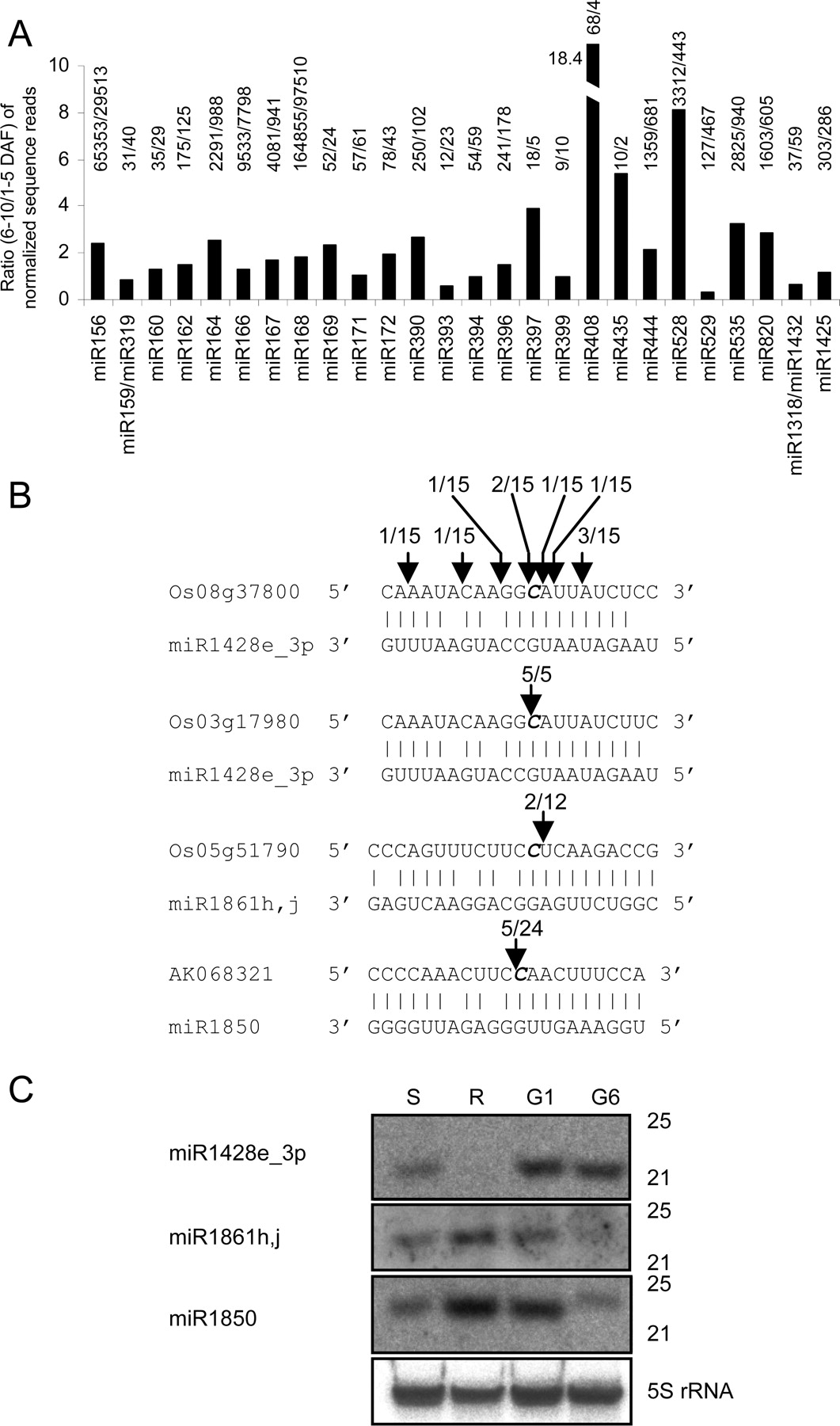 1456fig1