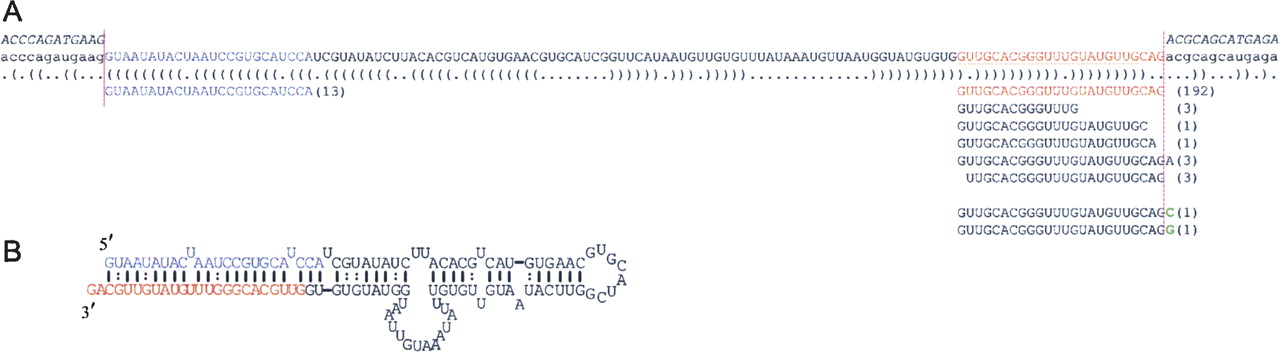 1456fig3