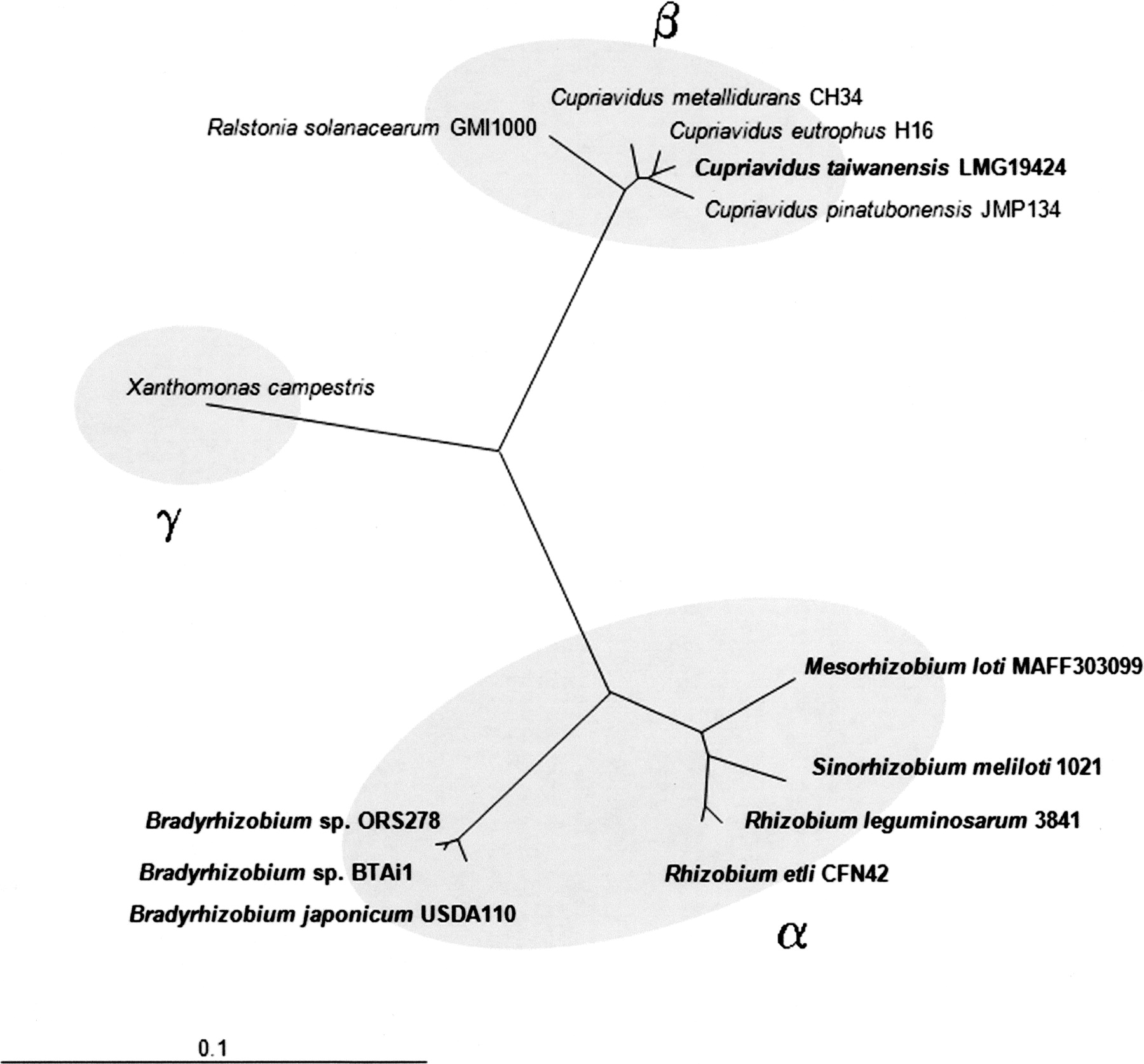 1472fig1