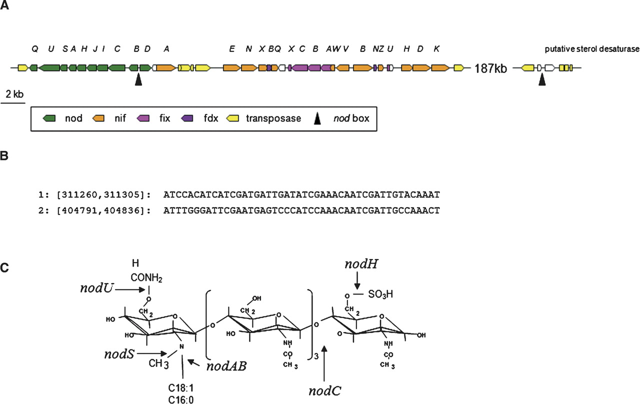 1472fig4