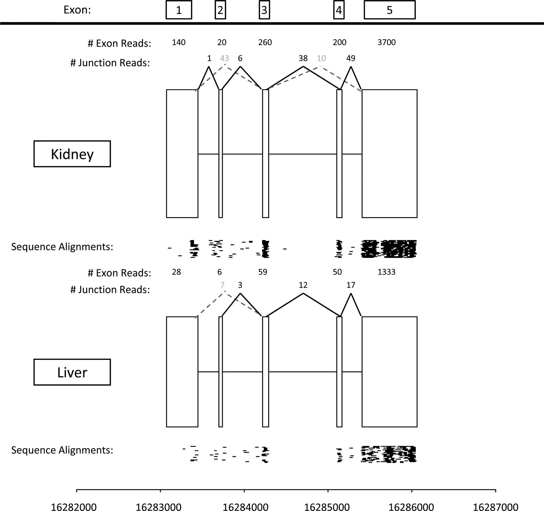1509fig6