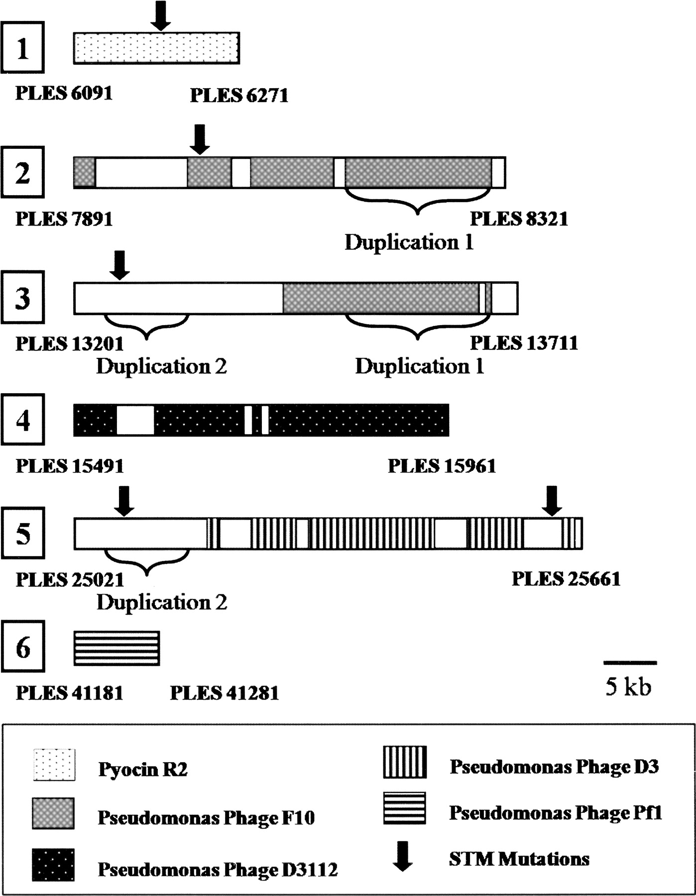 12fig2