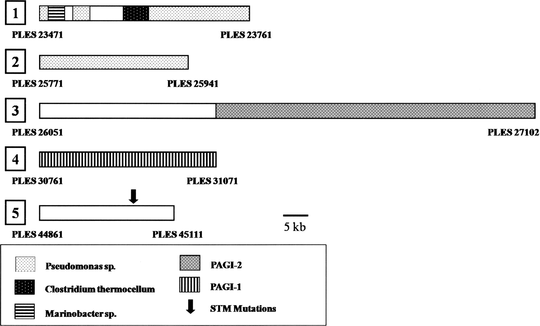 12fig3