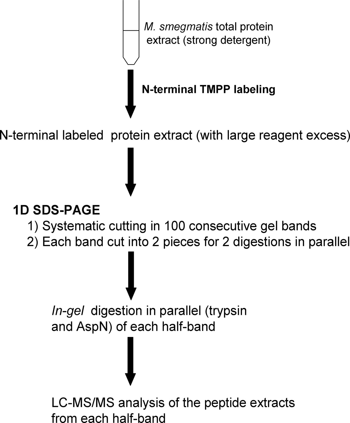 128fig2