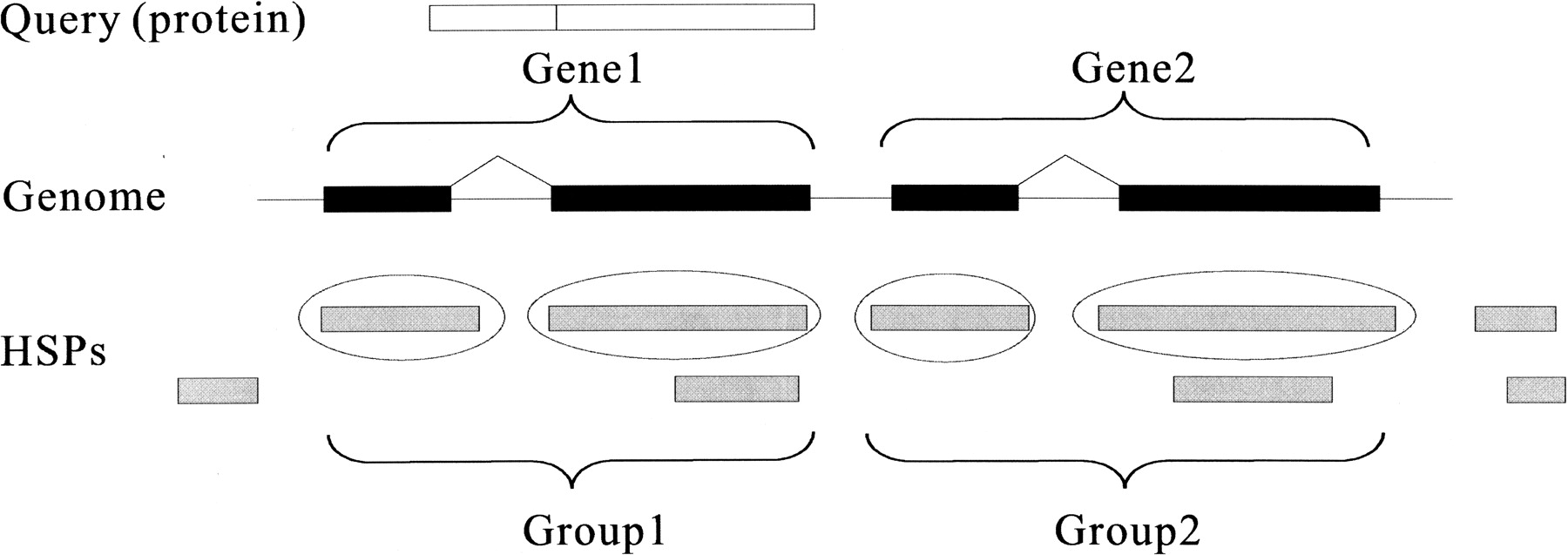 143fig1
