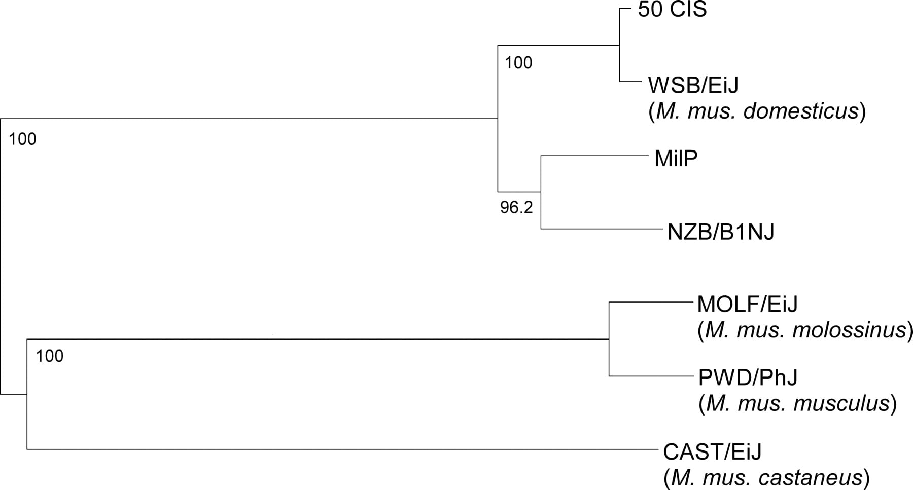 159fig1