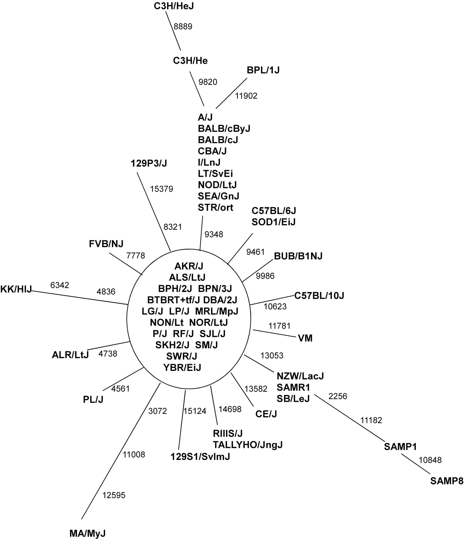 159fig2