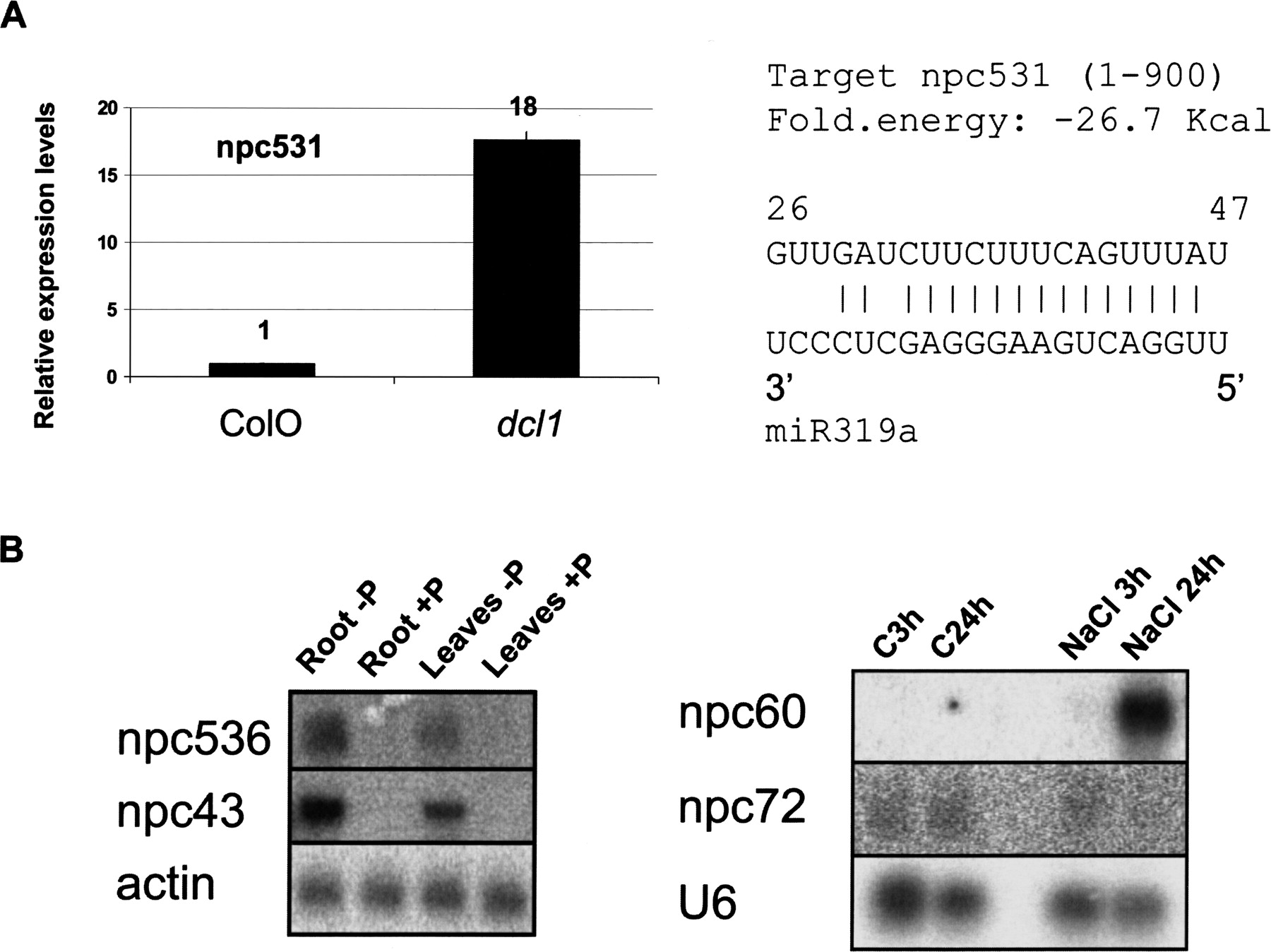 57fig4