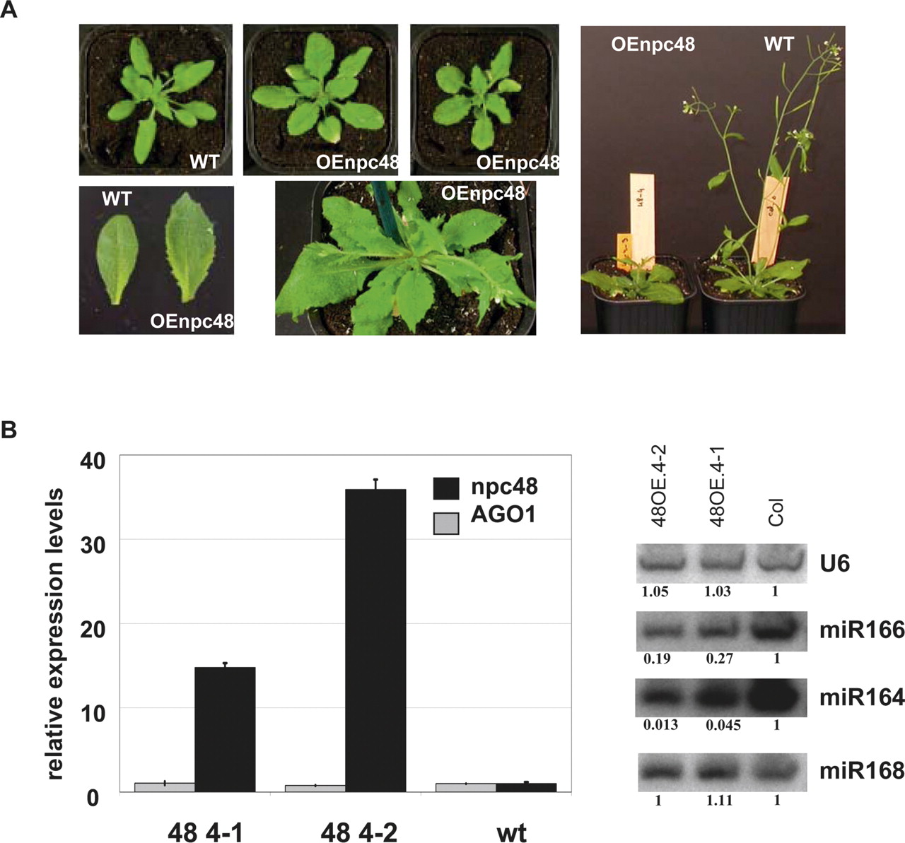 57fig6