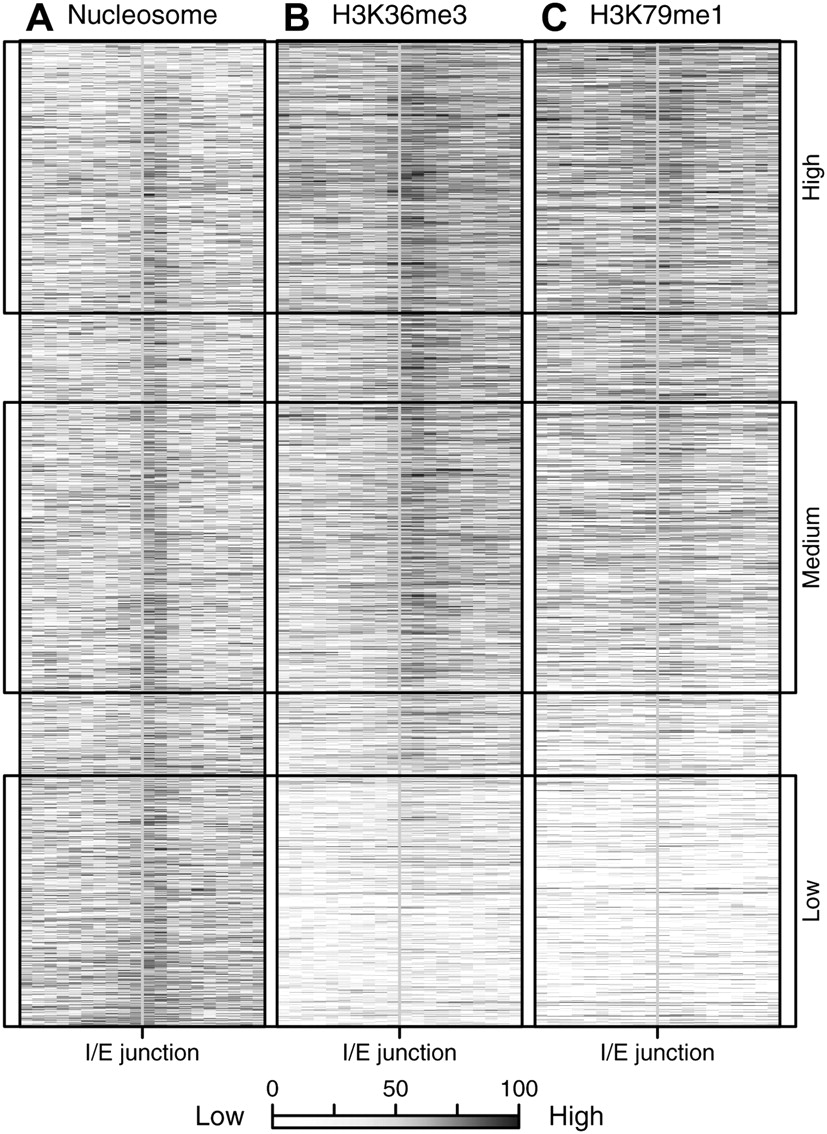 1732fig6
