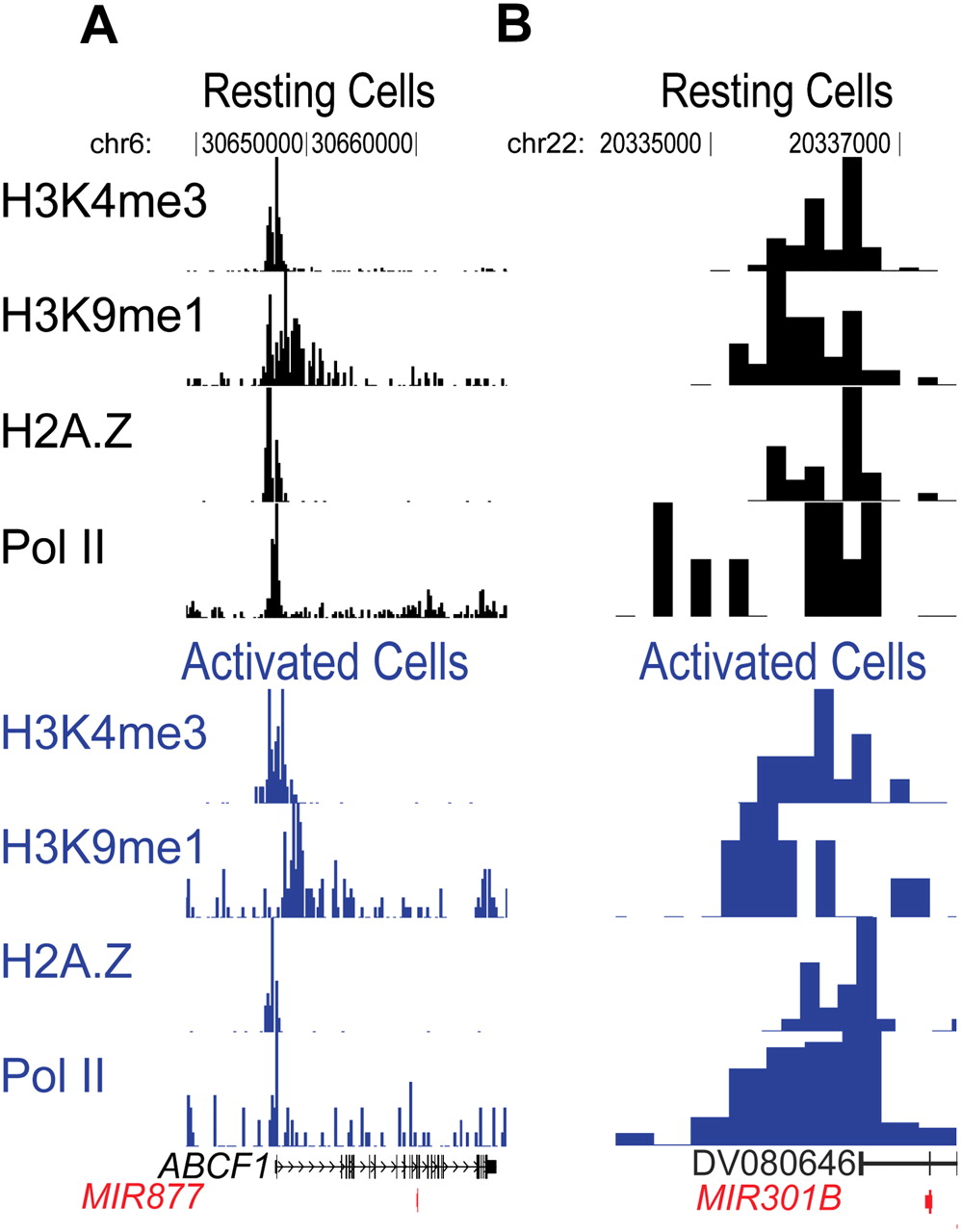 1742fig6