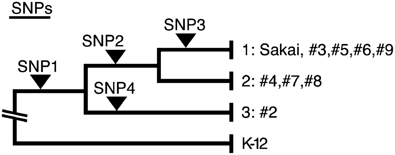 1809fig4