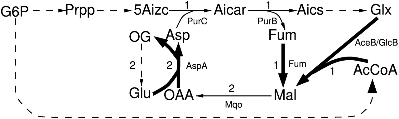 1872fig6