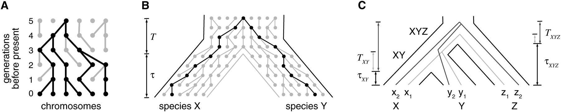 1929fig3