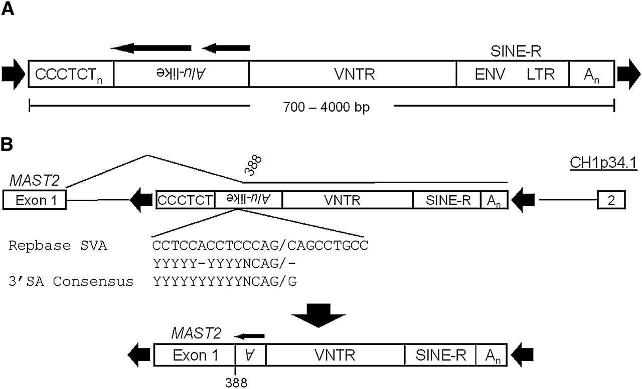 1983fig1