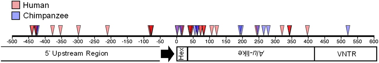1983fig4