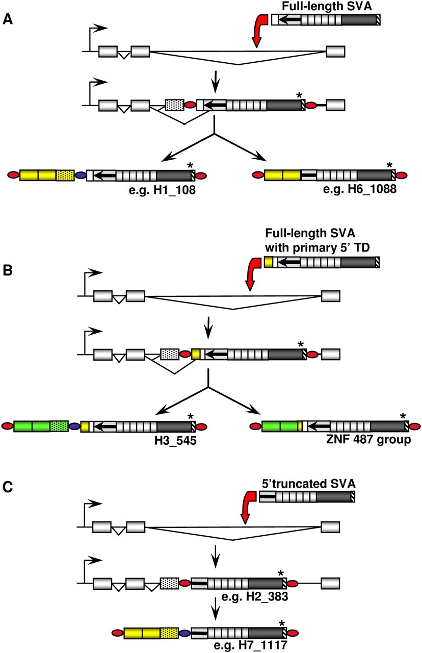 1992fig6