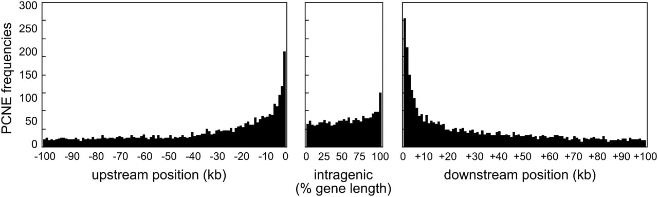 2036fig2