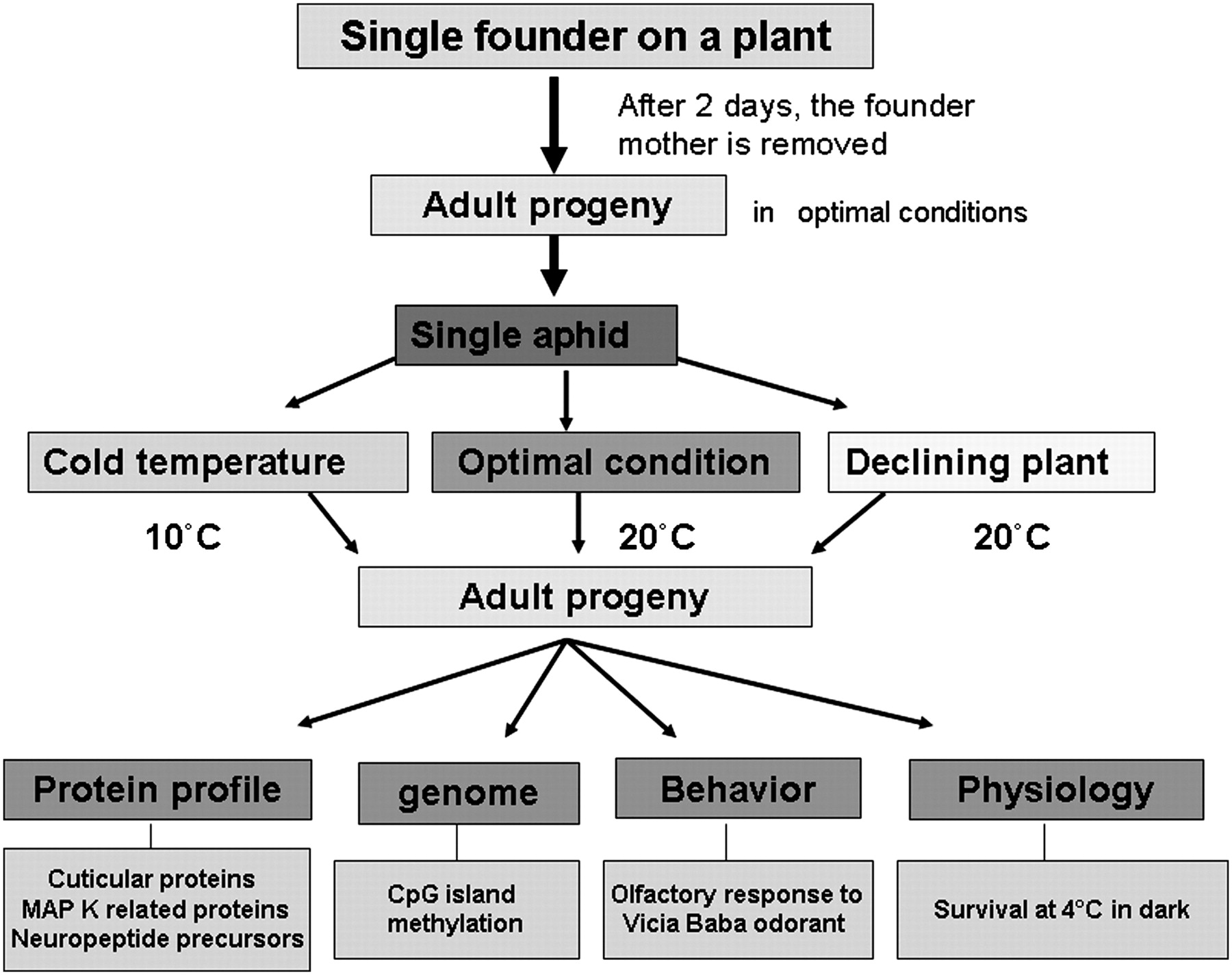 2052fig1