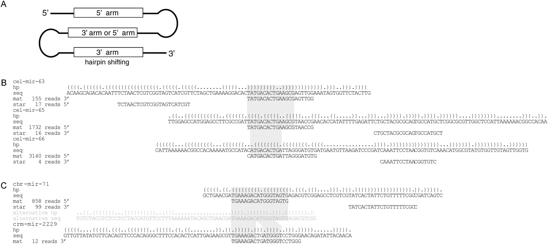 2064fig4