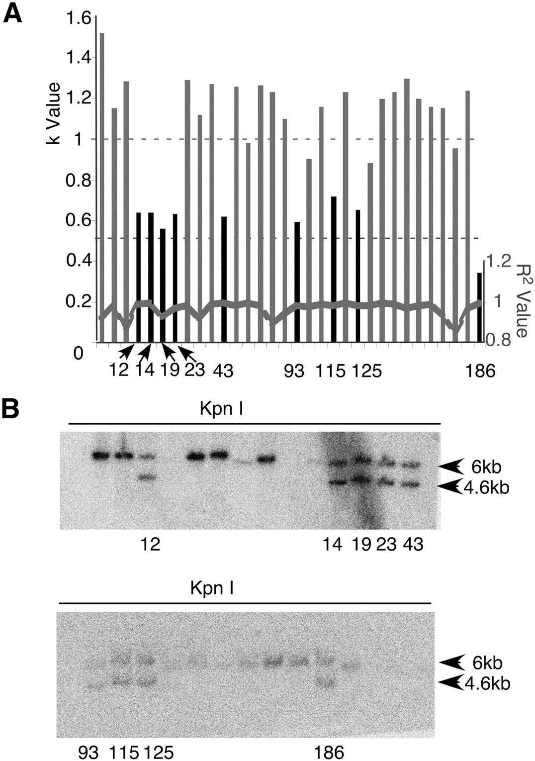 2081fig4