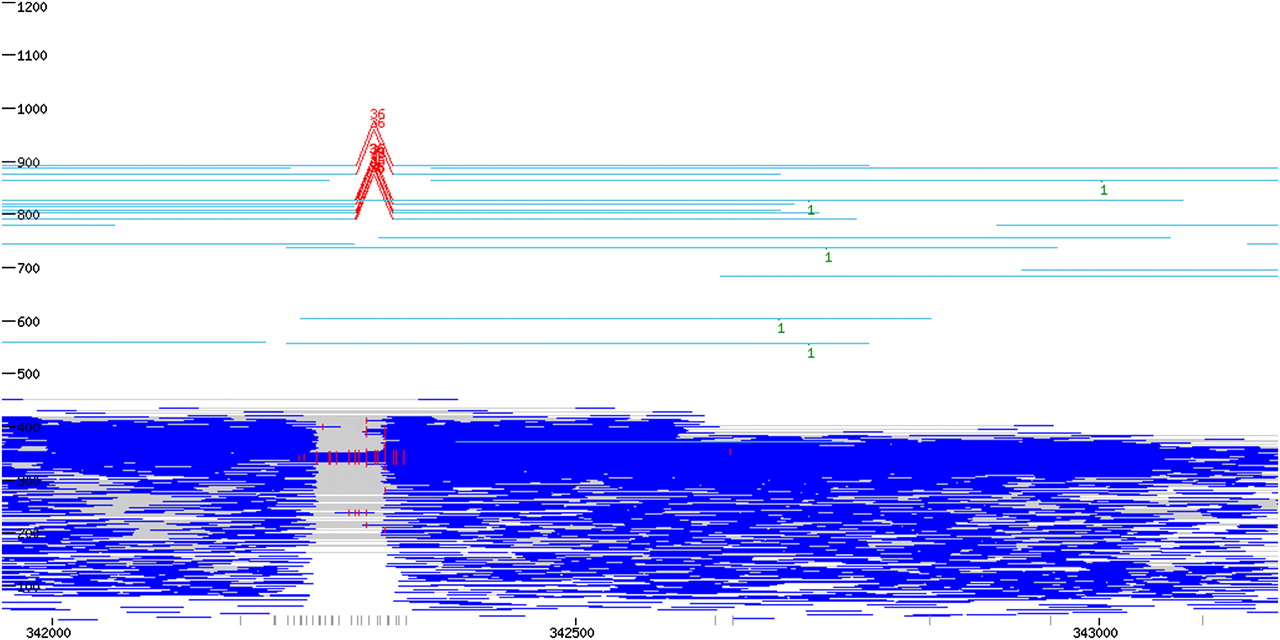 2125fig4