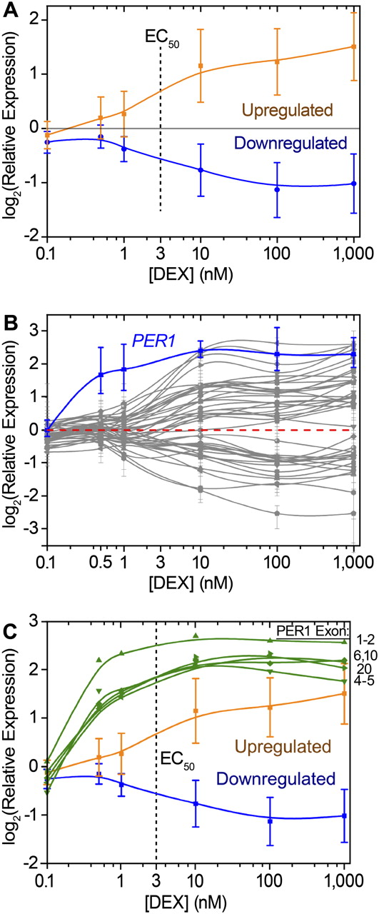 2163fig3