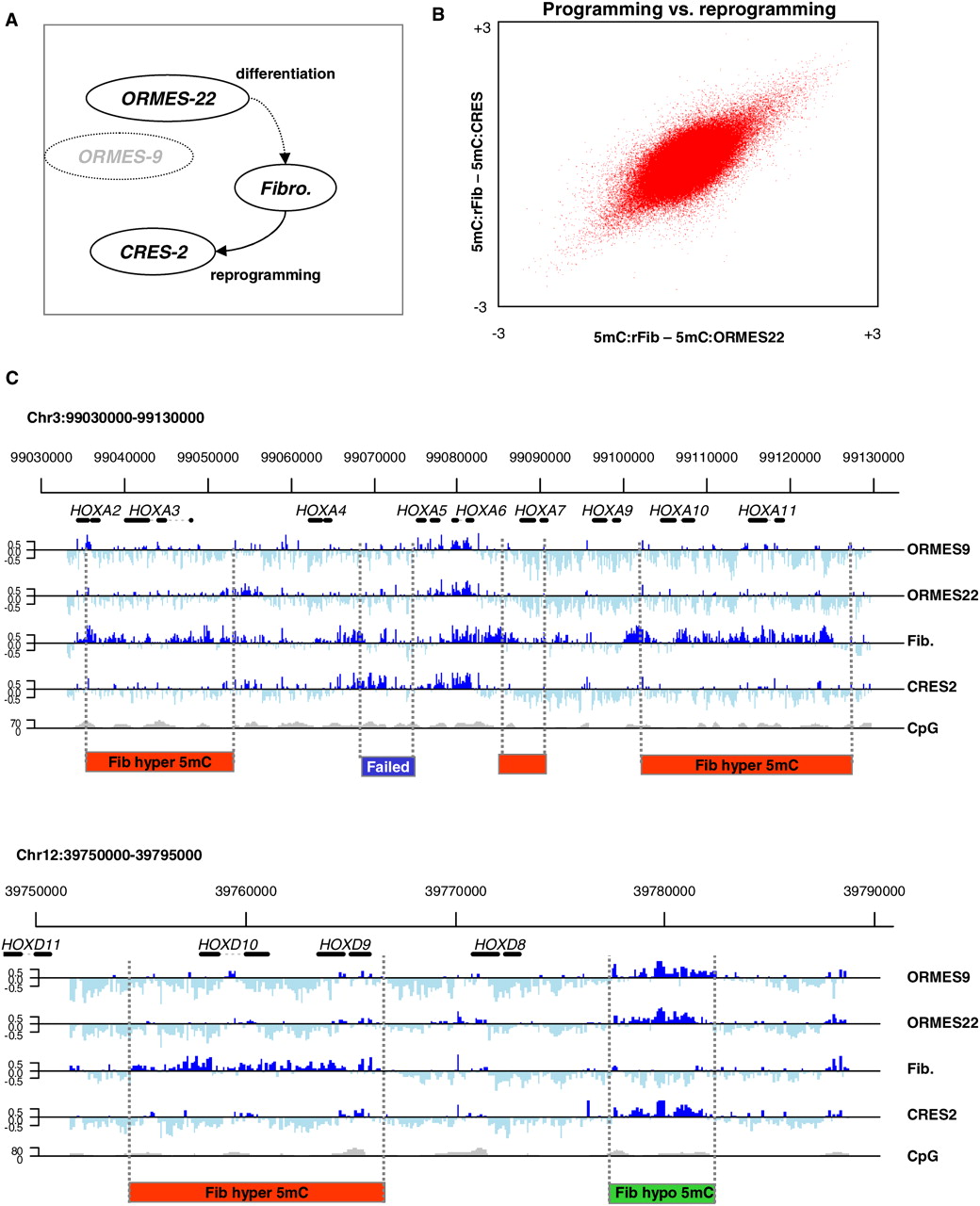 2193fig1