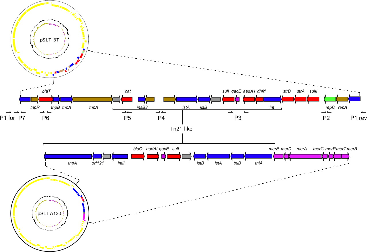 2279fig4