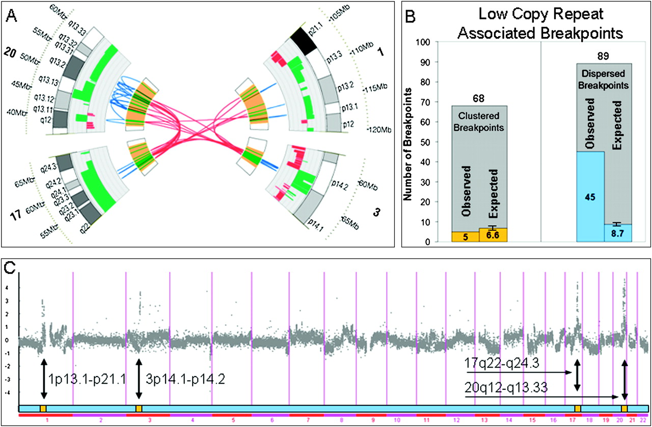 167fig3