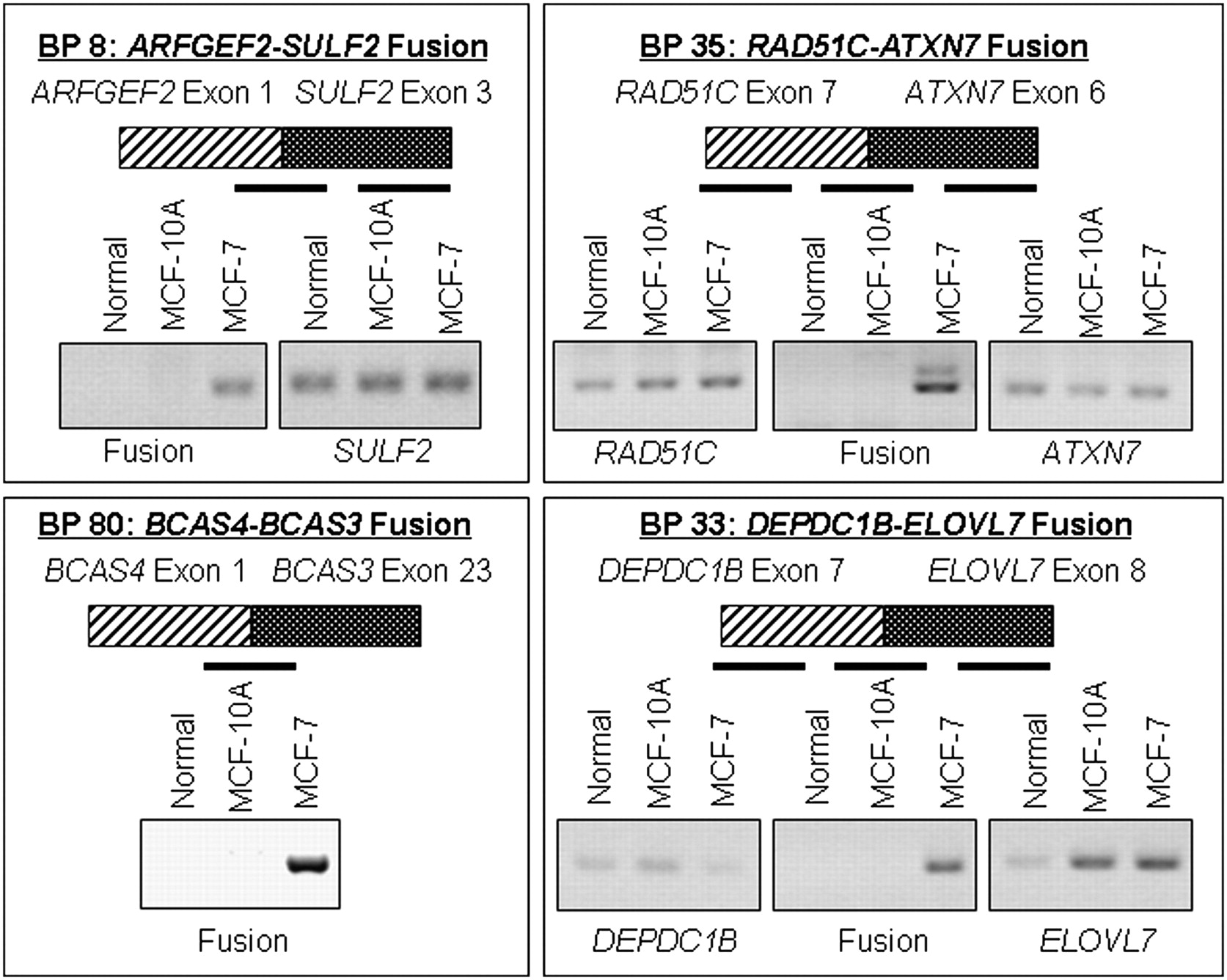 167fig4