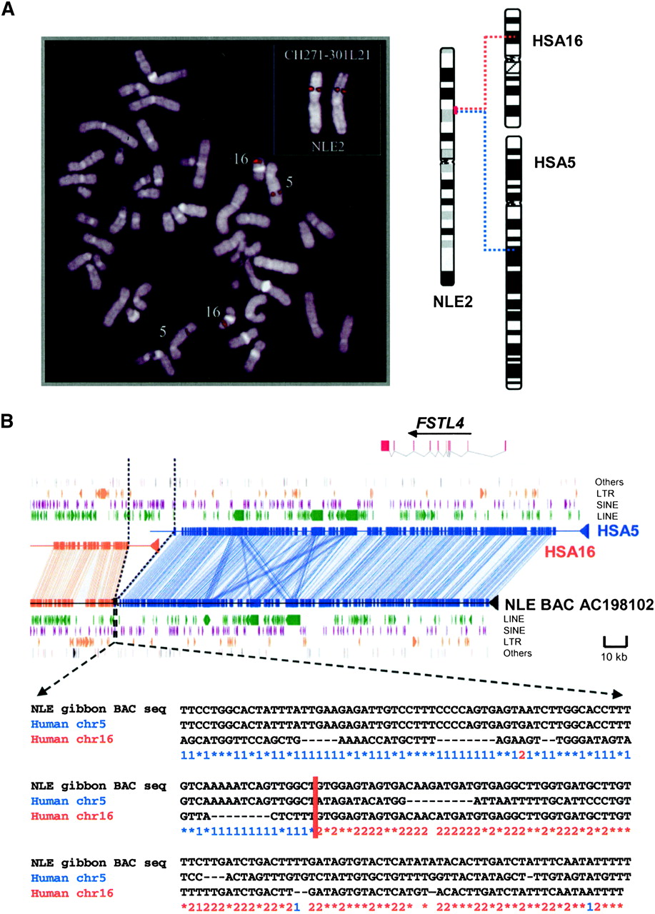 178fig1