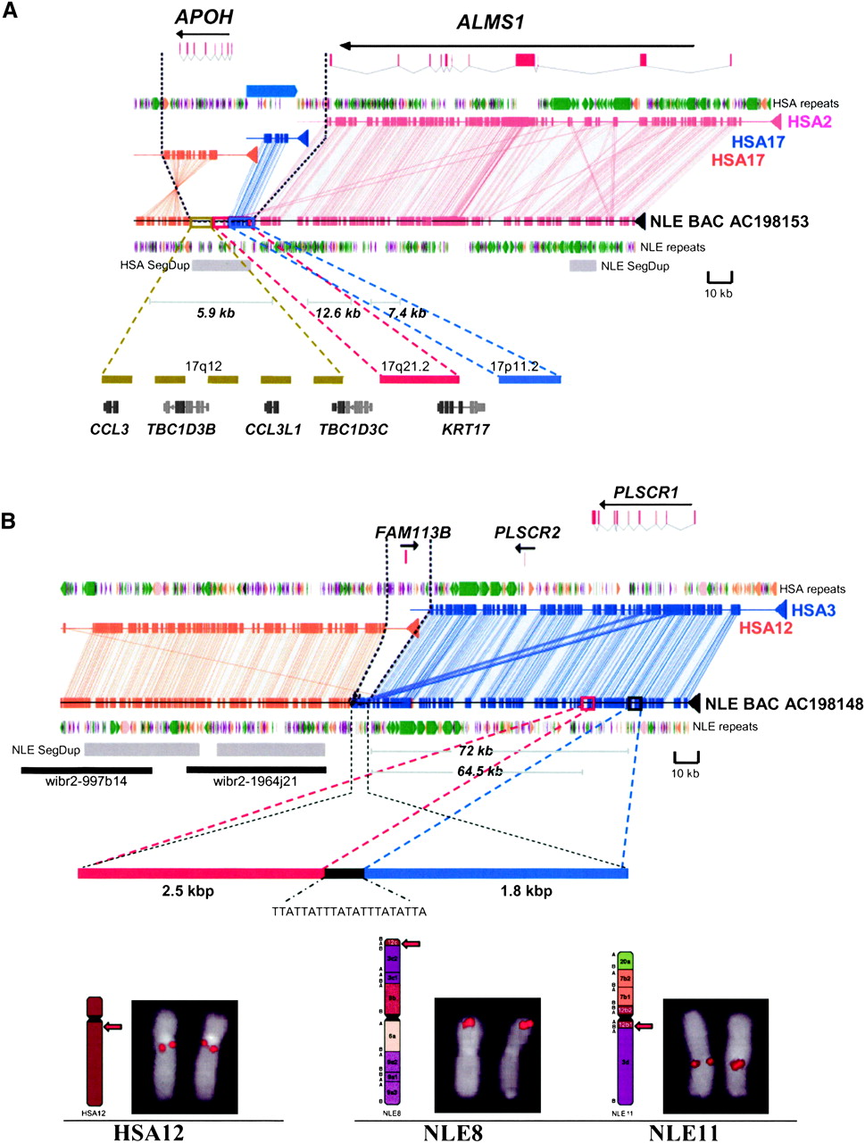178fig4