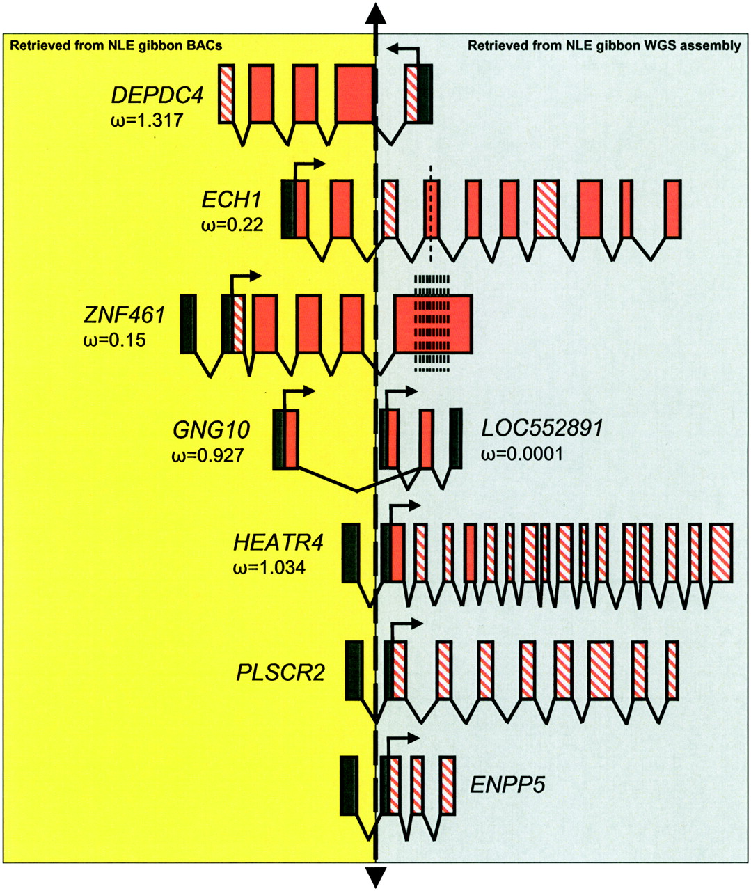 178fig5