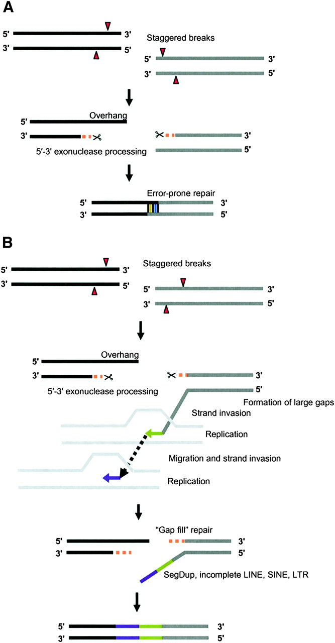 178fig6