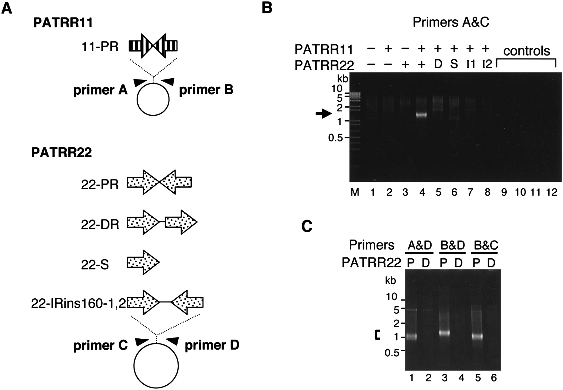 191fig1