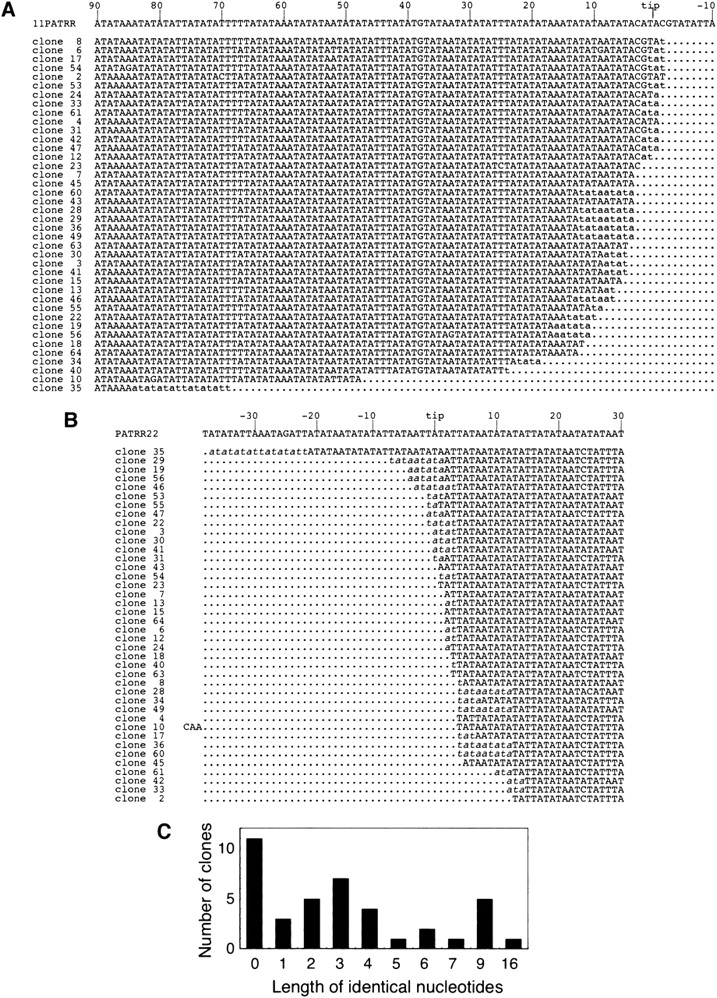 191fig2