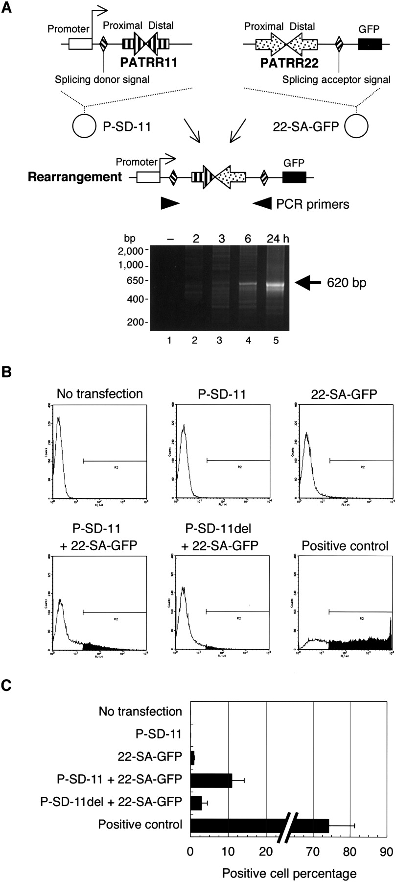191fig3