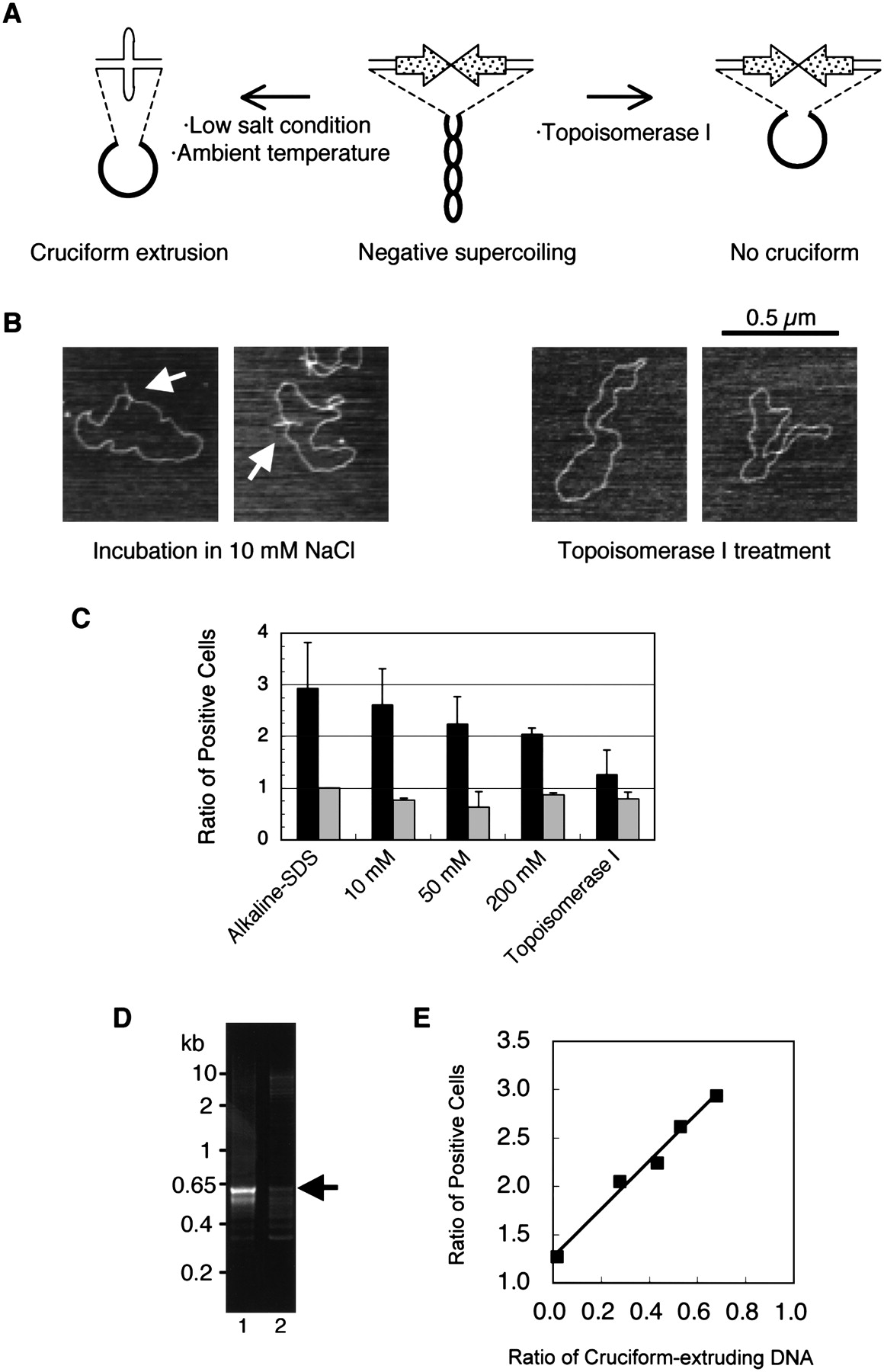 191fig4