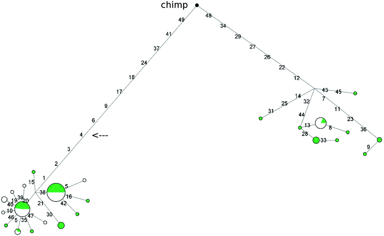 199fig2