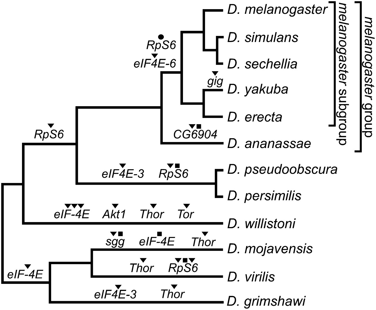 234fig1