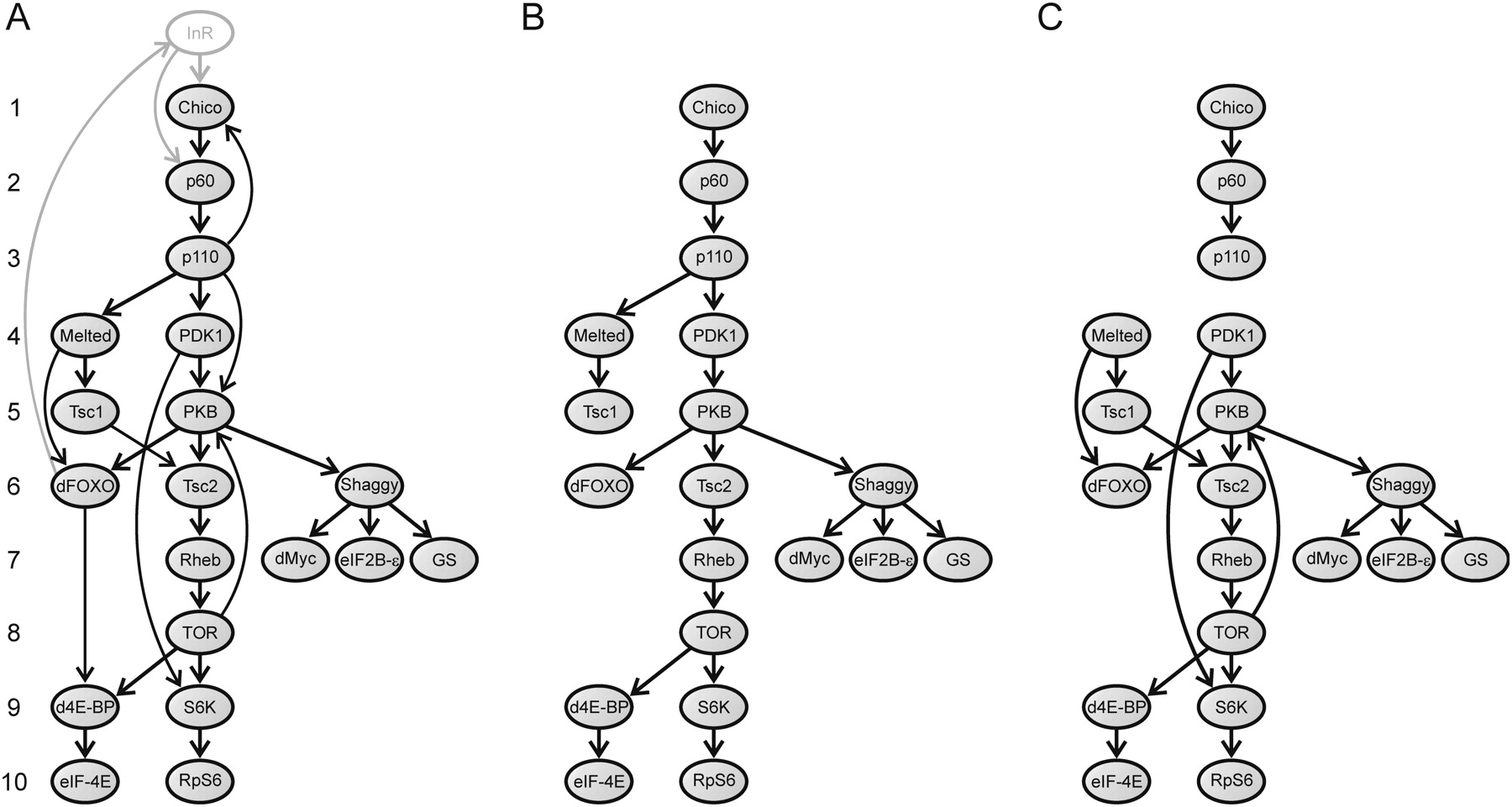 234fig2