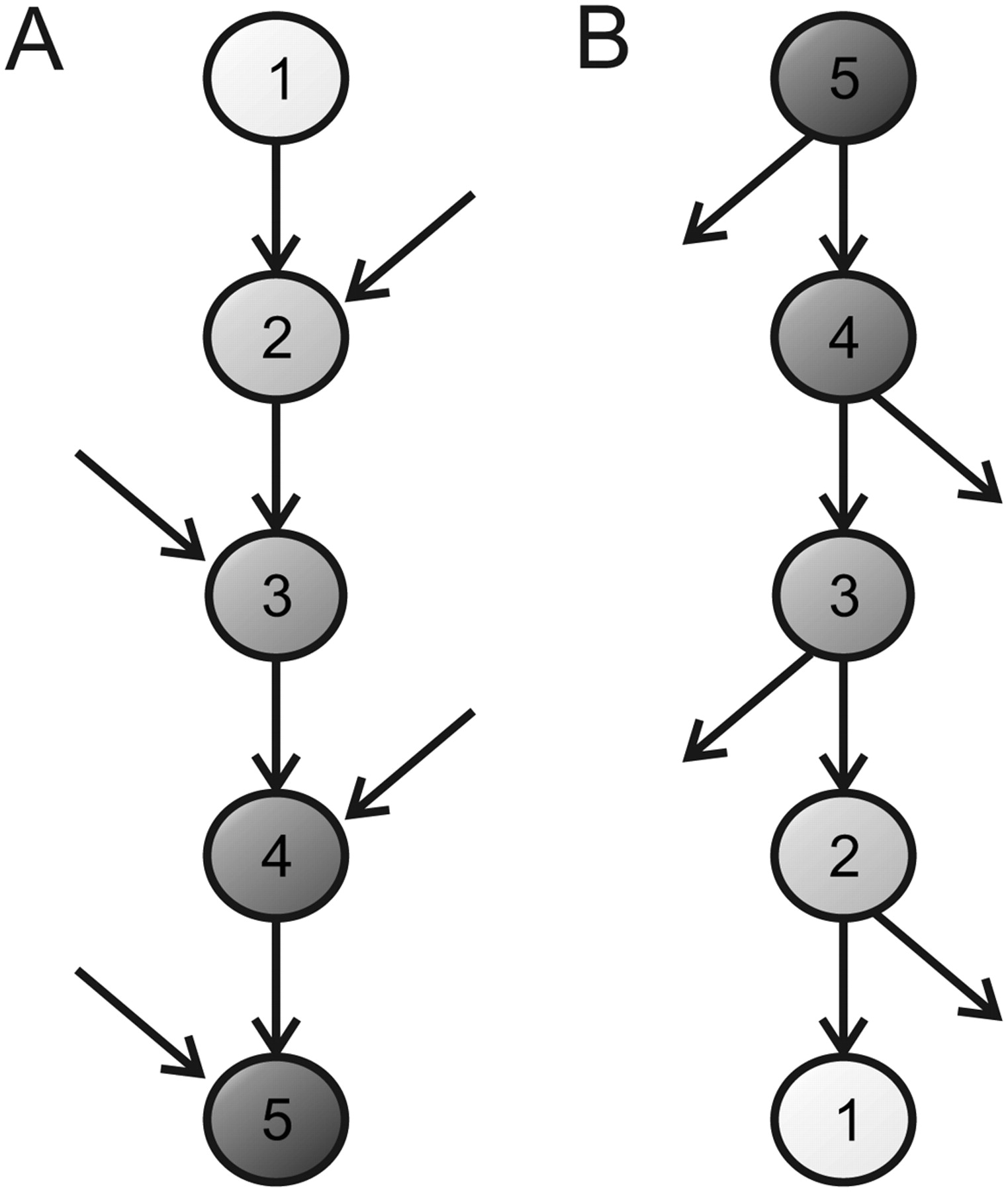 234fig5